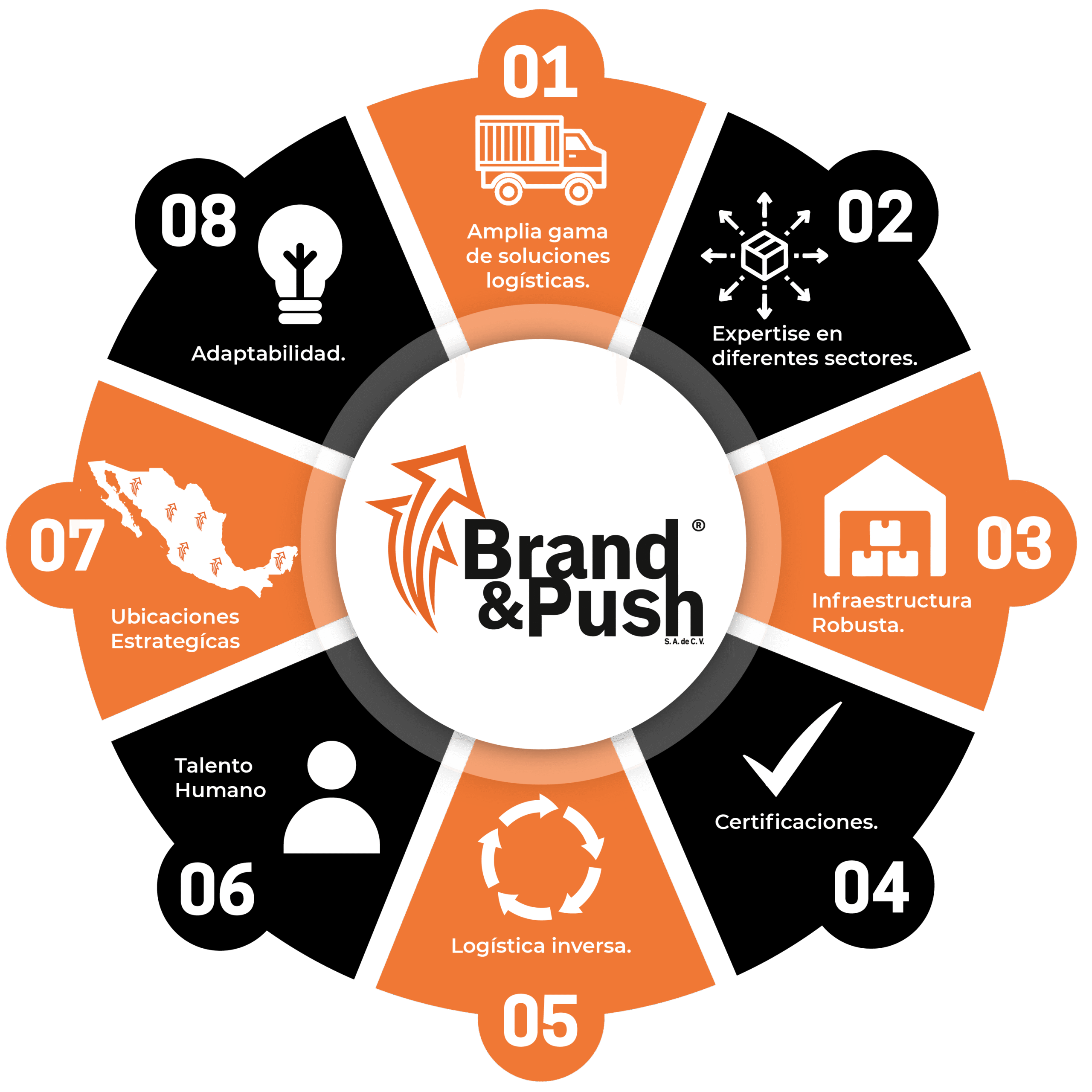 cadena de suministro brand and push